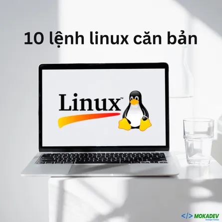 Top 10 lệnh Linux căn bản cho người mới bắt đầu